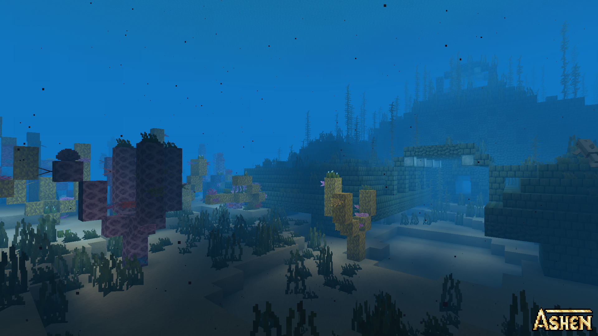 Ashen-10.webp