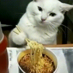 C9CF6D5E0AC807BD092CD4EF0119DF55.gif