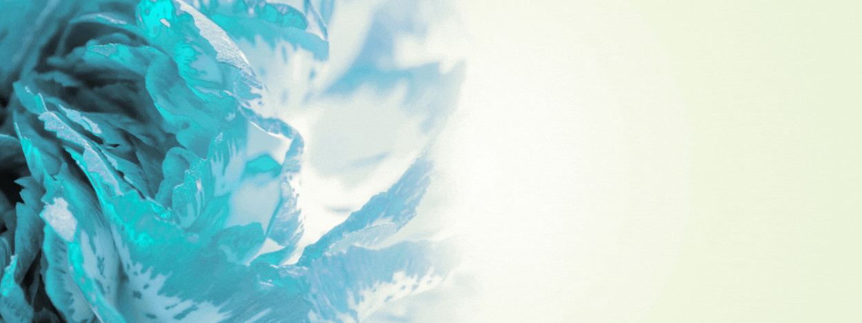 Dantiao付费版动态Banner.gif