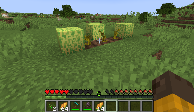 image.webp