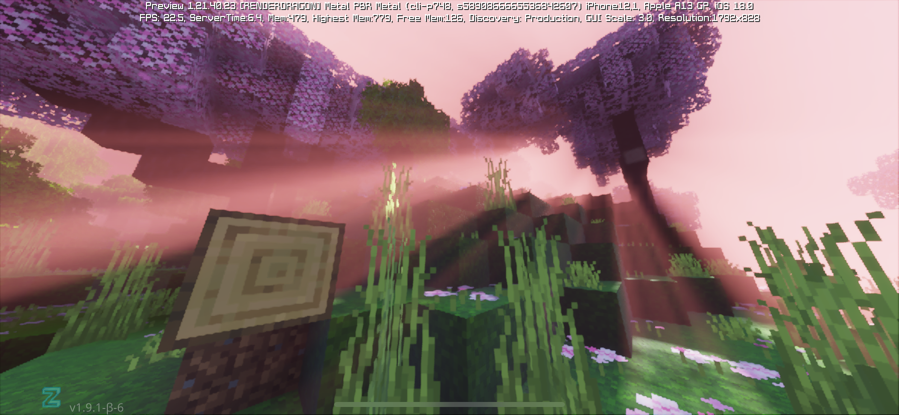 IMG_3343.png