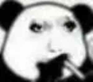 1667273028441.jpeg