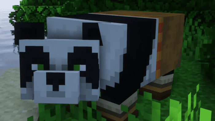 kung-fu-panda_2.png