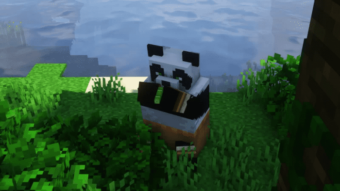 kung-fu-panda_3.png