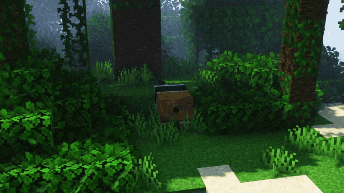 kung-fu-panda_4.png
