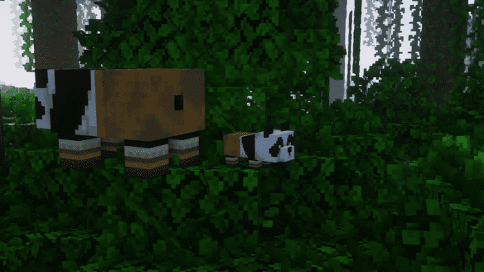 kung-fu-panda_6.png