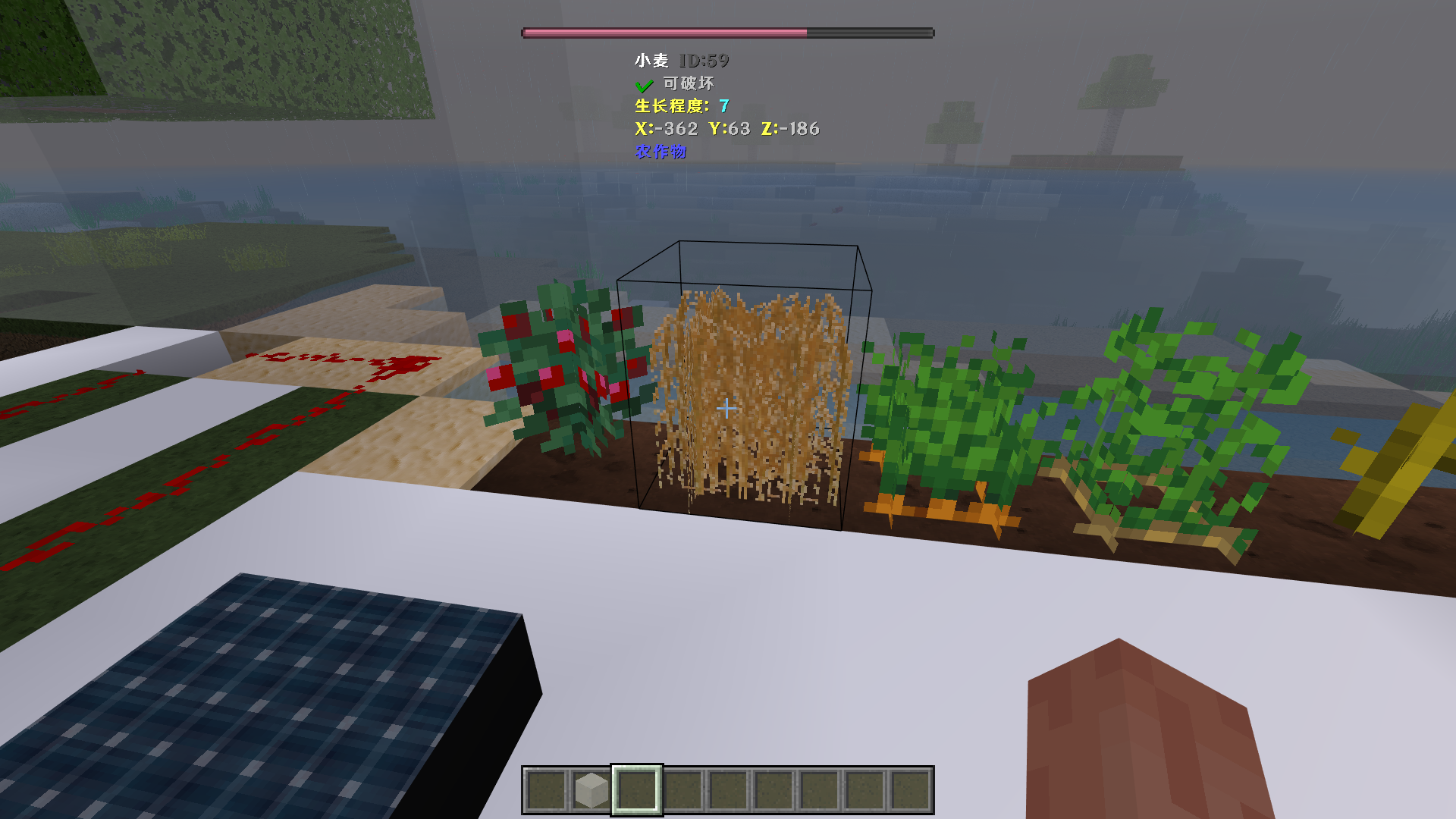 Minecraft Screenshot 2024.05.07 - 18.35.51.14.png
