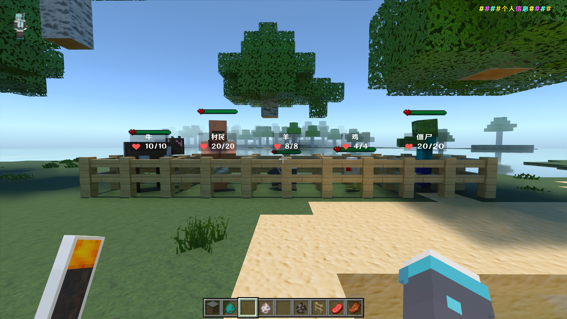 Minecraft Screenshot 2024.07.22 - 15.38.17.03.png