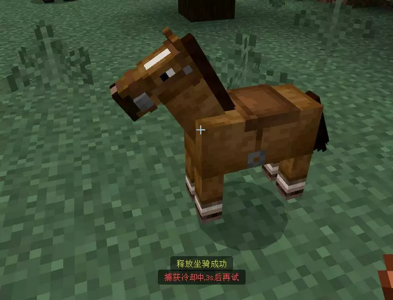 MountHorse (3).webp