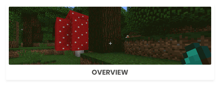 overview.gif