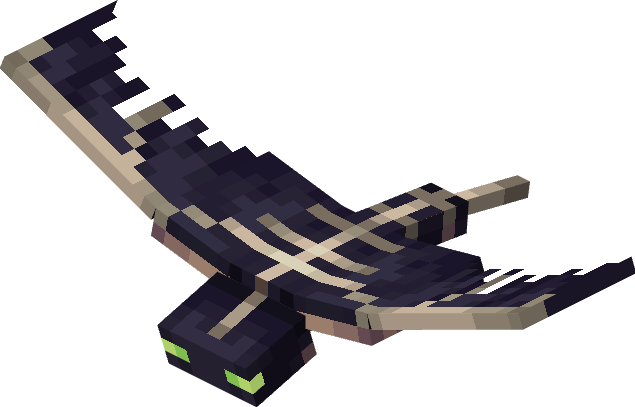 0122-13.png