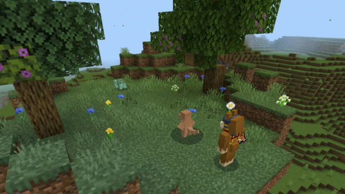 pokemon-sun-rise--battle-system-test_2.jpeg