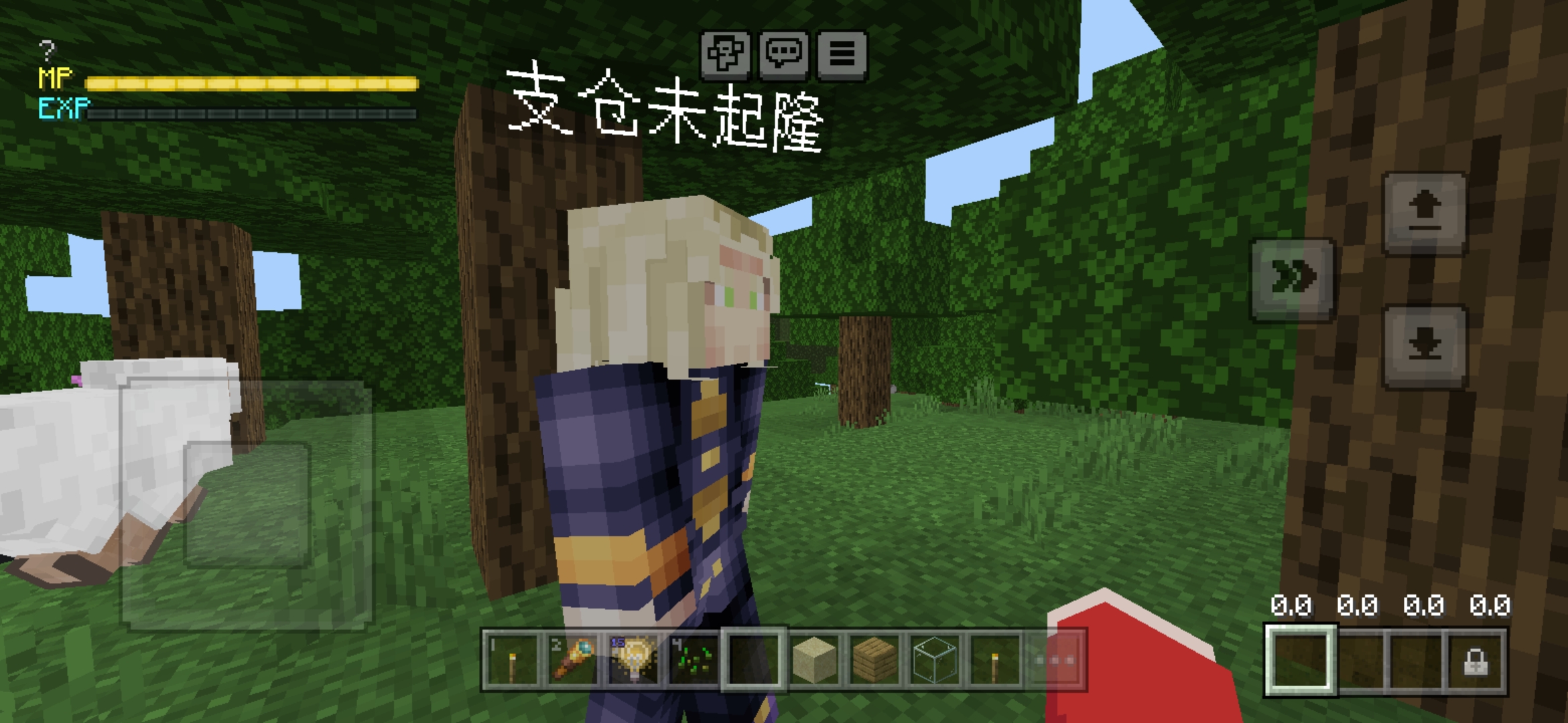 Screenshot_20240302_172917_com.mojang.minecraftpe.jpg