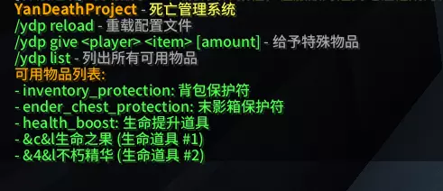 指令截图.webp