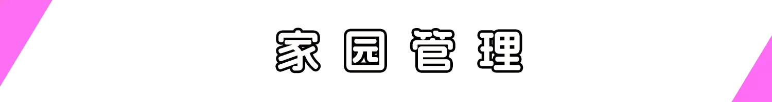 管理.webp