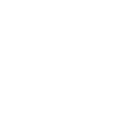 1000196579.webp