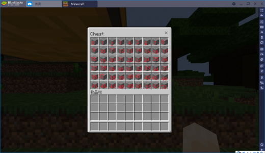 chest.png