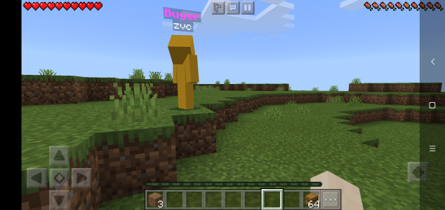 Screenshot_2020-10-27-12-39-54-492_com.mojang.minecraftpe.png