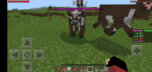 Screenshot_2020-11-03-23-59-52-486_com.mojang.minecraftpe.png