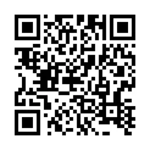 1745760424199.webp