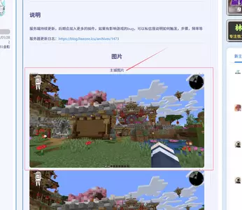 1747578194244.webp