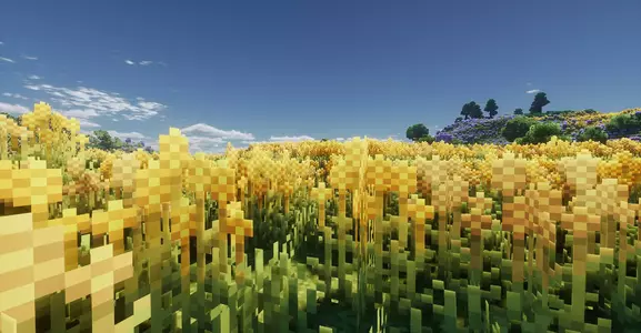 2025-05-10_23.54.25.webp