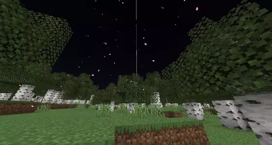 2025-05-20_04.54.56.webp