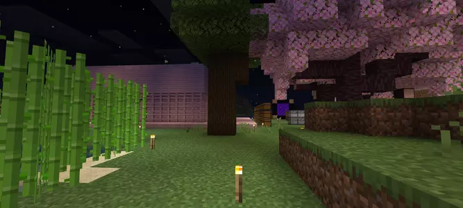 Screenshot_2025-05-28-22-28-05-788_com.mojang.minecraftpe.webp