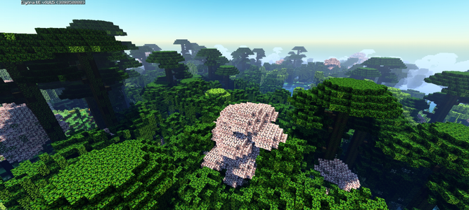 Screenshot_20250608_194041_com.mojang.minecraftpe.webp