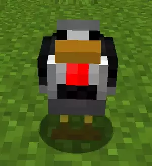 kun.webp