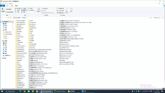 bug.webp