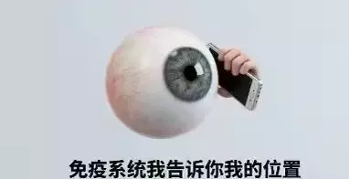 1767268848952.webp