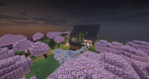 2026-08-04_21.34.44.webp