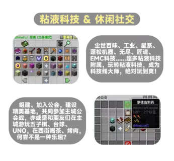 3.webp