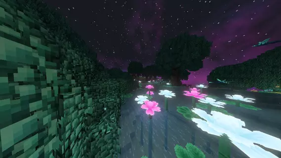 2020-11-28_20.webp