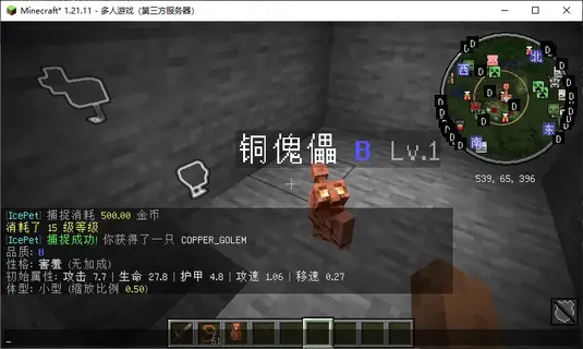 宠物展示.webp