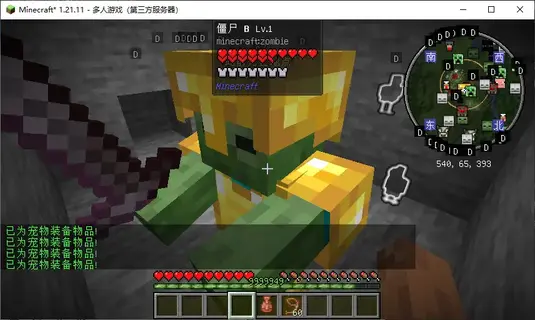 宠物穿装备.webp