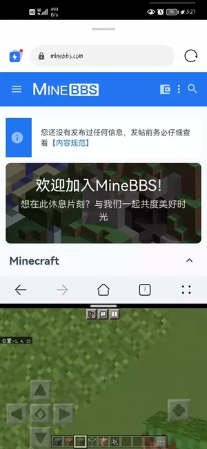 Screenshot_20211121_052730_com.mojang.minecraftpe.webp