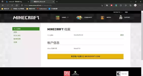 配置文件 _ Minecraft 和另外 1 个页面 - 个人 - Microsoft​ Edge 2021_12_19 17_34_09.webp