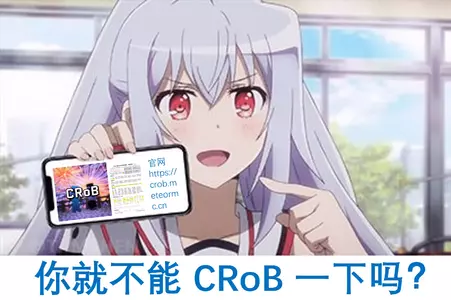 Face-WhyDon'tUseCRob-PlasticMemory-4.png