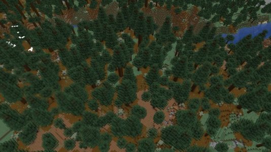 oldgrowthtaiga-carousel3.jpg oldgrowthtaiga-carousel3.jpg