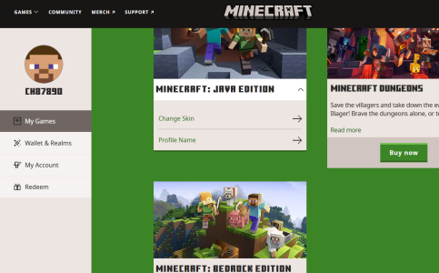 minecraft123123122.png