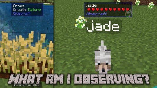 maxresdefault (2).jpg