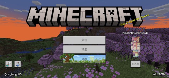 Screenshot_2024-01-13-12-59-43-540_com.mojang.minecraftpe.jpg