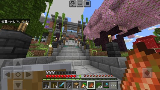Screenshot_20240203_190315_com.mojang.minecraftpe.jpg