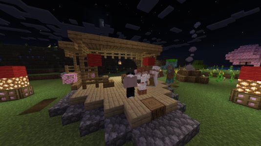 Screenshot_20240209_235614_com.mojang.minecraftpe.jpg