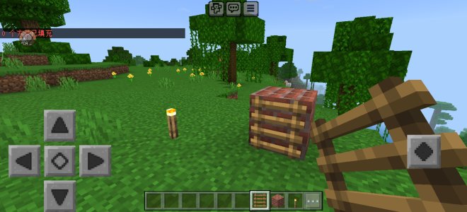 Screenshot_20240224_162631_com.mojang.minecraftpe.jpg