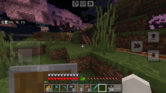 Screenshot_20240309_234813_com.mojang.minecraftpe.jpg