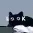1711028520647.jpeg