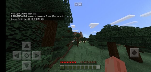Screenshot_2020-05-21-15-08-04-429_com.mojang.minecraftpe.jpg